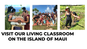 Lomi Lomi students practicing massage, gathering in community, and connecting to Hawaiian land on Maui during an immersive healing retreat.